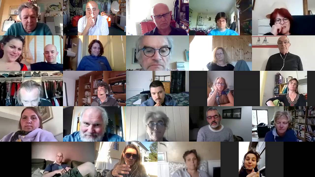 Réunion Zoom Visioconférence Capture d'écran de la réunion Zoom FTV Online en visioconférence du 14 avril 2020