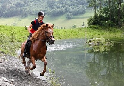 découvrez les plaisirs de l'equitation en montagne à faistesvacances, le village club multi-activités
