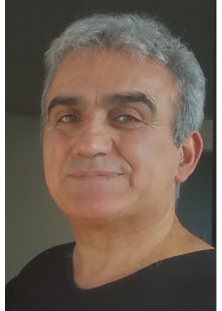 Pierre Piccarreta, Vacances en famille, Danse collective en ligne